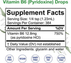 HoneyCombs Gotas Líquidas de Vitamina B6 - 473 ml (16 Fl Oz)