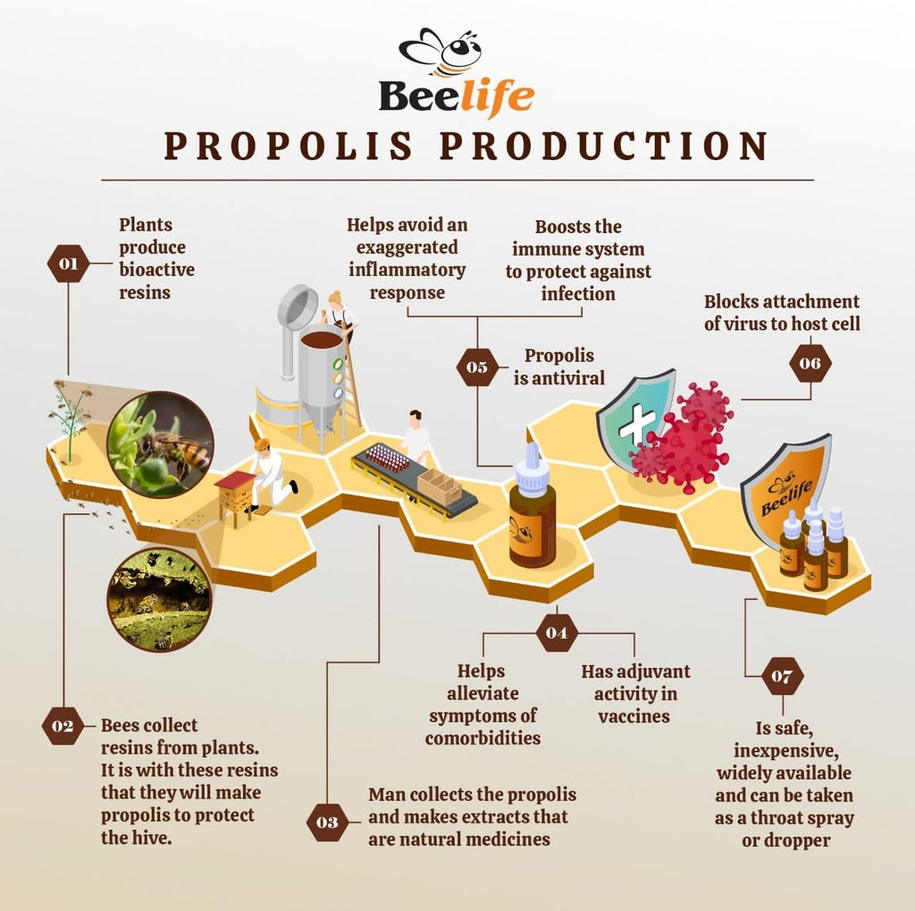Extracto de Propóleo Verde Orgánico Beelife Propoflex - Rico en Artepillin-C - 30 ml