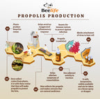 Extracto de Propóleo Verde Orgánico Beelife Propoflex - Rico en Artepillin-C - 30 ml