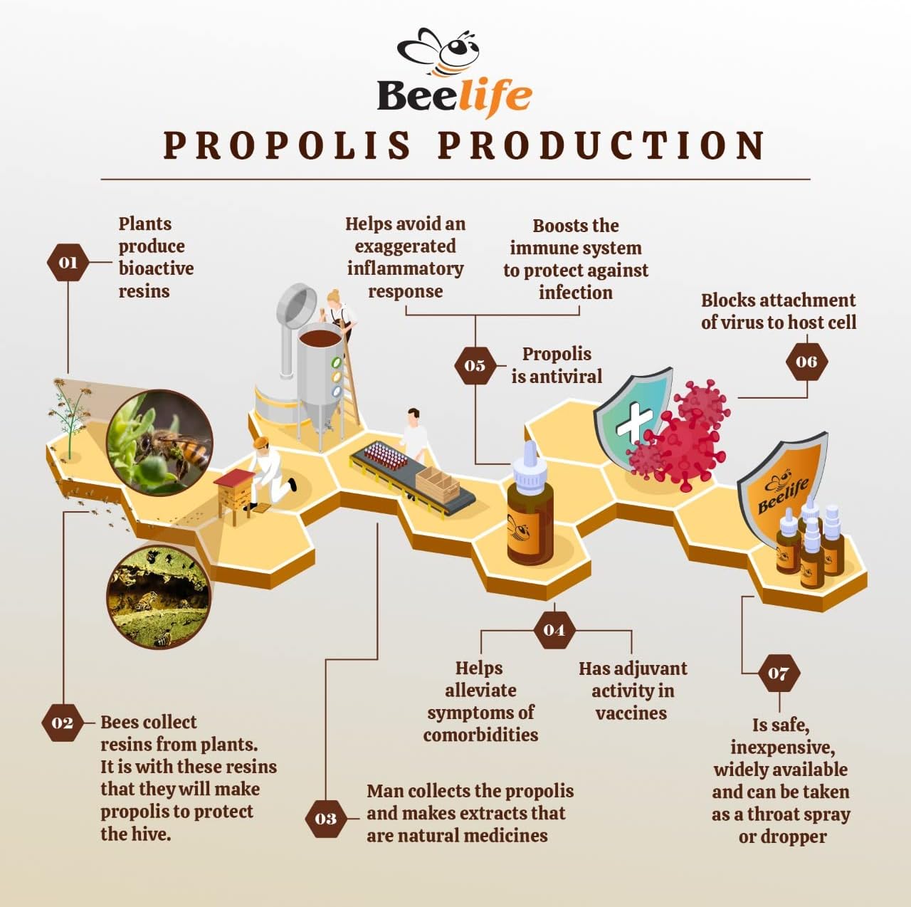 Extracto de Propóleo Verde Orgánico Beelife Propoflex - Rico en Artepillin-C - 30 ml