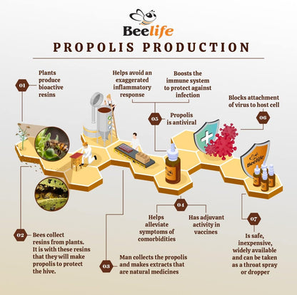 Extracto de Propóleo Verde Orgánico Beelife Propoflex - Rico en Artepillin-C - 30 ml – Image 5