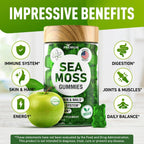 BioVit Sea Moss Gummies - Gominolas de Sea Moss Silvestre con Bladderwrack y Burdock - 60 Gominolas Veganas