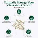 Dr. Fuhrman's LDL Biotect - Suplemento con Esteroles Vegetales y Extractos Orgánicos - 240 Cápsulas