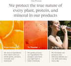 Yoli Truth Apoyo Antioxidante e Inmunitario, Sabor Cítrico, 30 Sobres