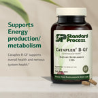 Standard Process Cataplex B-GF - B complex for nervous system and energy - 360 tablets