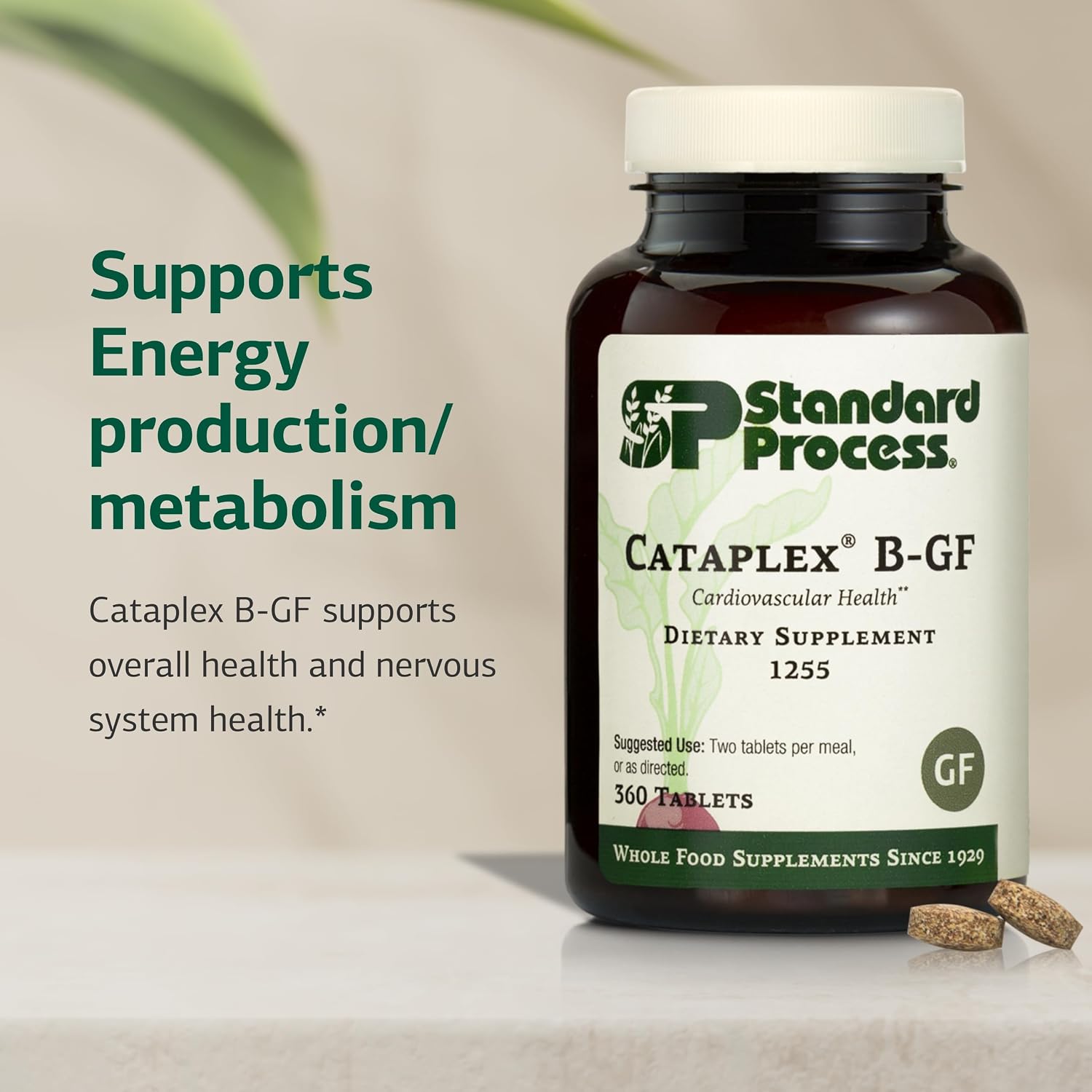 Standard Process Cataplex B-GF - B complex for nervous system and energy - 360 tablets