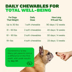 Get Joy Digestion Chews - Suplemento digestivo para perros con prebióticos, probióticos y posbióticos, 90 masticables