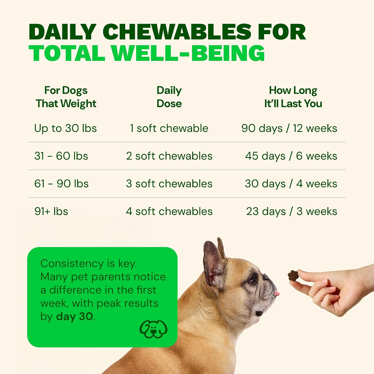 Get Joy Digestion Chews - Suplemento digestivo para perros con prebióticos, probióticos y posbióticos, 90 masticables