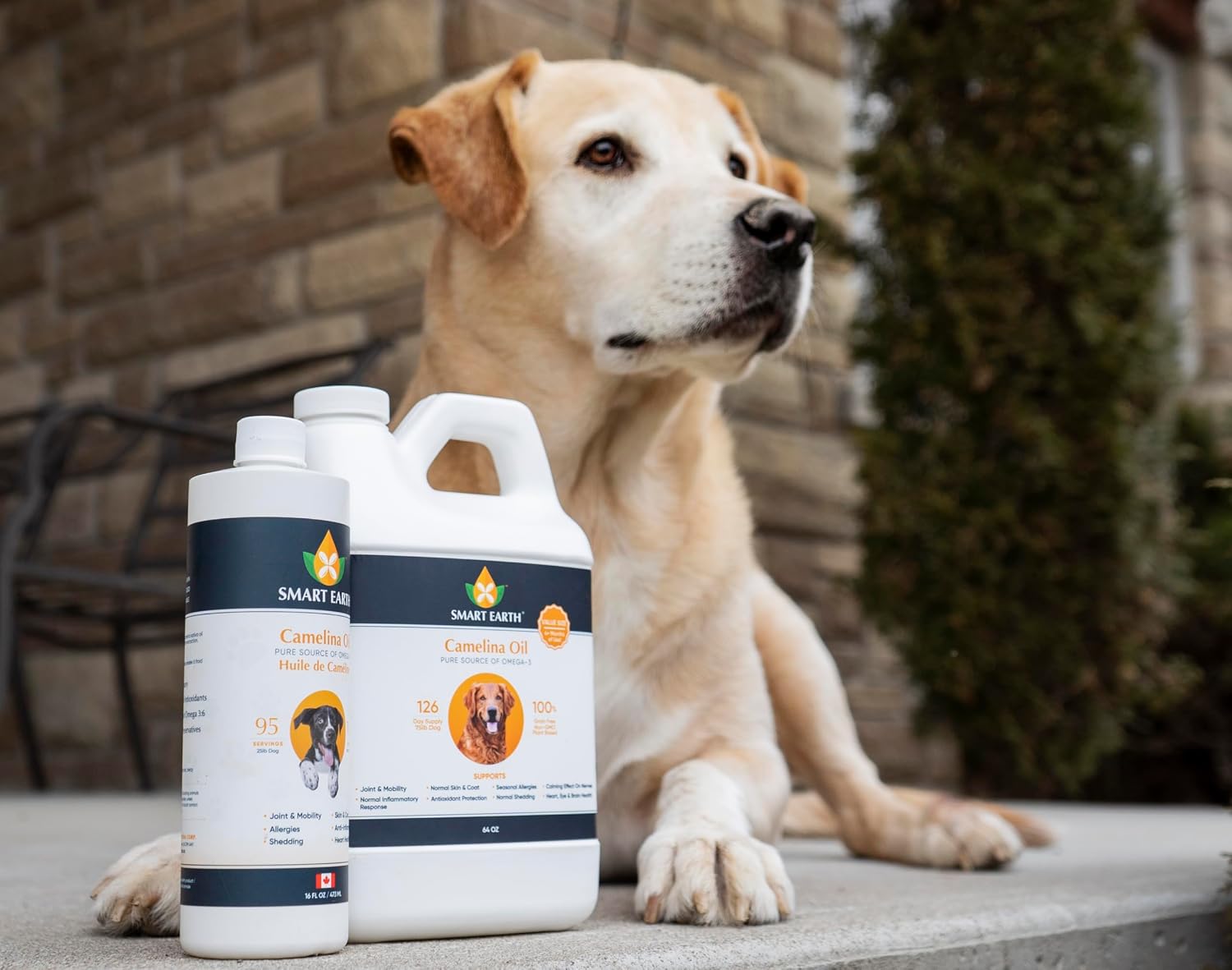 Aceite de Camelina para Perros - Omega 3,6,9 - Suplemento para Piel, Pelaje y Articulaciones (64oz con Bomba)