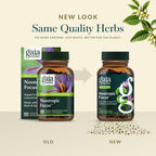 Gaia Herbs Nootropic Focus - Suplemento de concentración con Azafrán, Melisa y Ginkgo - 40 Cápsulas Líquidas