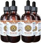 Extracto Líquido de Pino Blanco, Tintura en Polvo de Corteza de Pino Blanco (Pinus Strobus), Suplemento Herbal, Hawaii Pharm, 2x4 fl oz