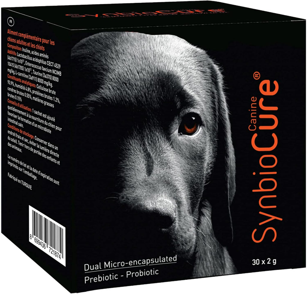SynbioCure Probióticos y Prebióticos para Perros | Polvo | 200 Mil Millones de Bacterias por Sobre | 30 Sobres de 2 g