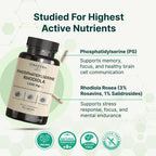 VINATURA Fosfatidilserina 1200 mg con Rhodiola Rosea - 90 Cápsulas (30 dosis)