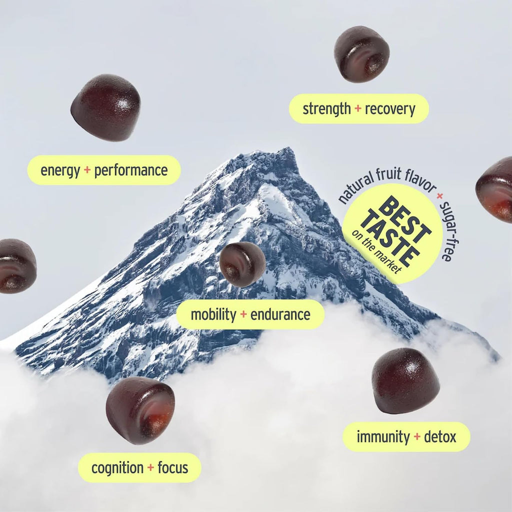 Pink Vitality Gominolas de Shilajit del Himalaya para Fuerza, Energía y Concentración Cognitiva | Sin Azúcar | Vegano | Natural | Sandía