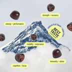 Pink Vitality Gominolas de Shilajit del Himalaya para Fuerza, Energía y Concentración Cognitiva | Sin Azúcar | Vegano | Natural | Sandía
