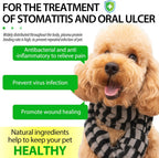 Antibióticos Naturales para Perros – Alivio de Alergias y Picazón, Suplemento Multivitamínico, Sabor a Bacon – 60ml