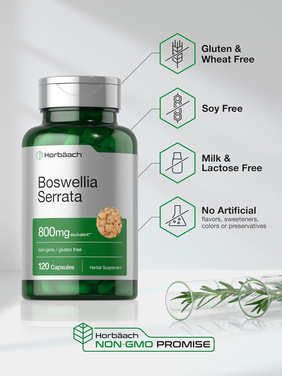 Horbäach Extracto de Boswellia Serrata en Cápsulas | 120 uds | Suplemento Herbal | No Transgénico, Sin Gluten