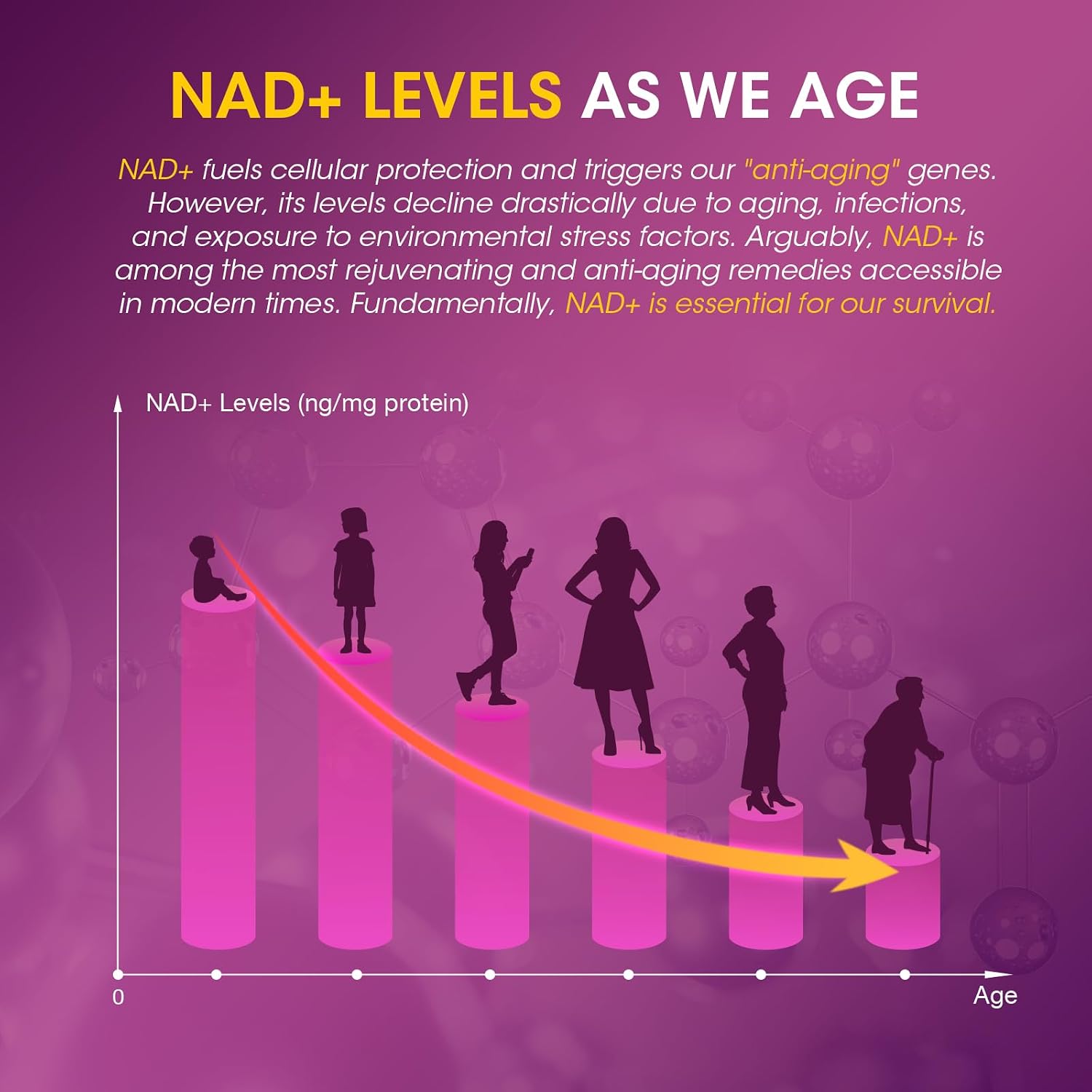 NAD Resveratrol Gummies - Suplemento con NAD+, Resveratrol, Colágeno Hidrolizado, Semilla de Uva y D-Biotina - Sin Azúcar - 60 Gominolas (Pack de 3)
