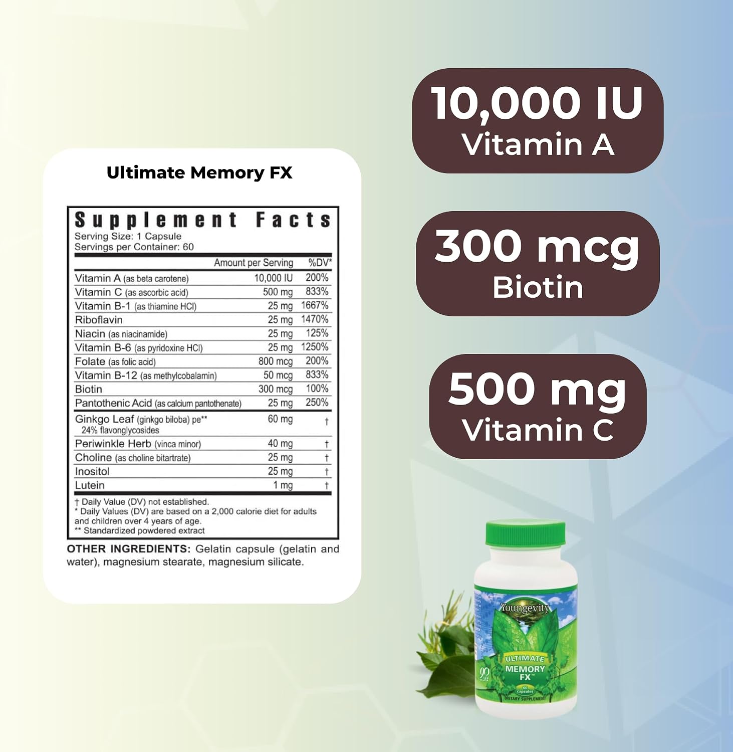 Youngevity Ultimate Memory FX™ - Ginkgo Biloba, Vinca y Vitaminas B para la Memoria (60 Cápsulas)