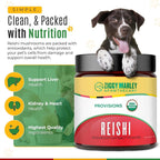 Ziggy Marley's USDA Organic Reishi Mushroom Powder para Perros y Gatos – 90g