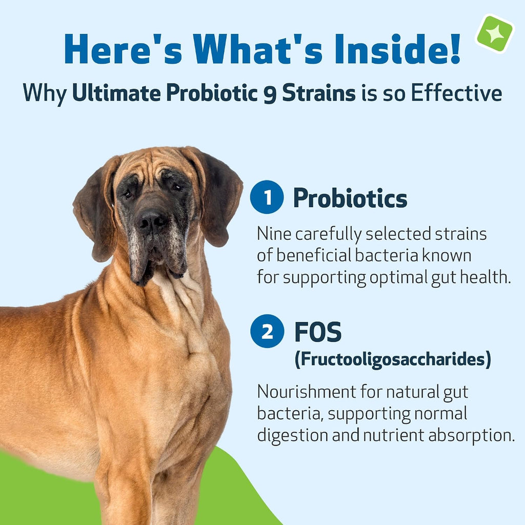 Pet Wellbeing Ultimate Probiotic 9 Cepas para Perros y Gatos - Apoyo Natural para la Digestión y Salud Urinaria 160 g