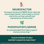 Neuriva Ultra - Complemento para la Memoria y Concentración con Fosfatidilserina, Cognivive, Neurofactor, Ácido Fólico, Vitamina B12 y B6, 60 Cápsulas