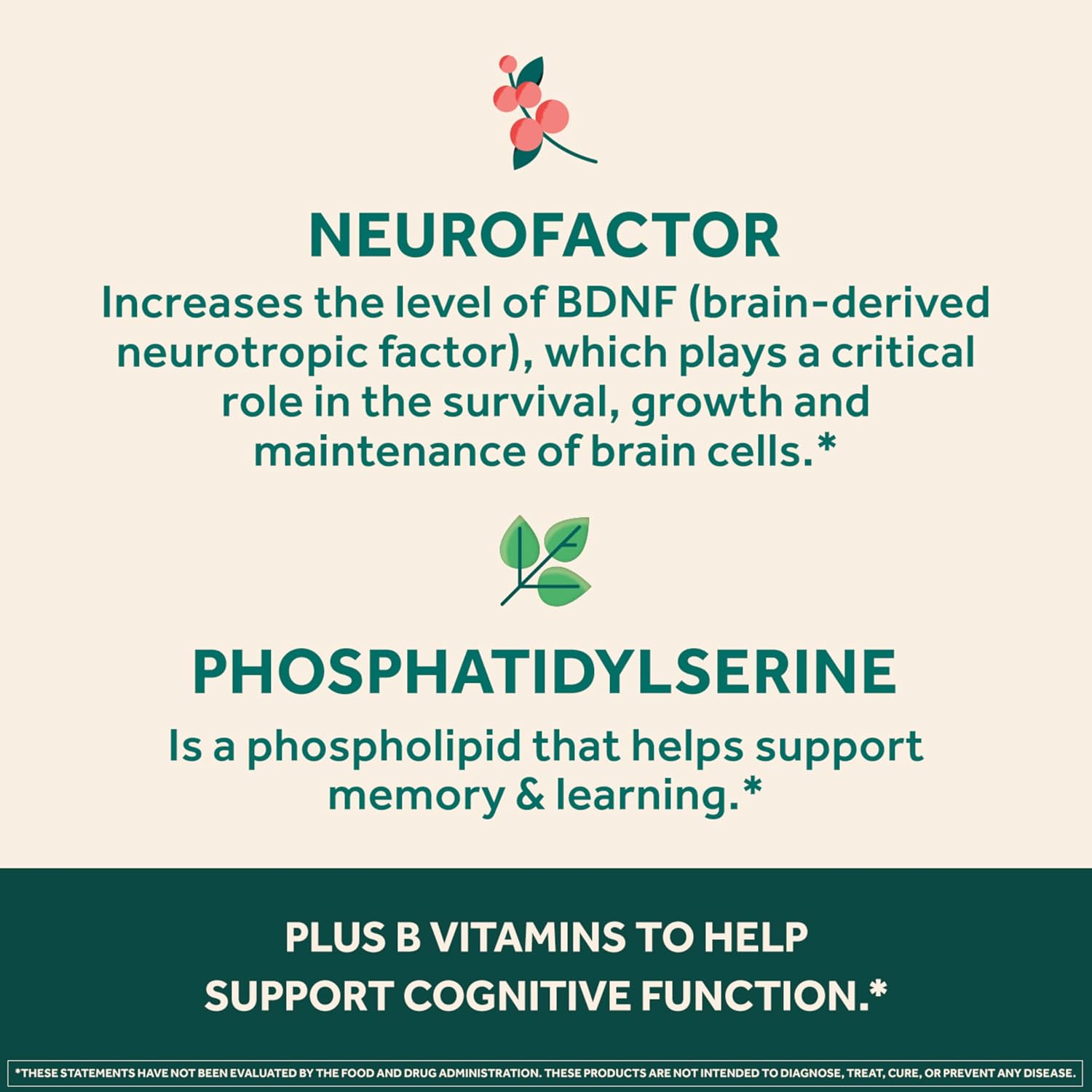 Neuriva Ultra - Complemento para la Memoria y Concentración con Fosfatidilserina, Cognivive, Neurofactor, Ácido Fólico, Vitamina B12 y B6, 60 Cápsulas
