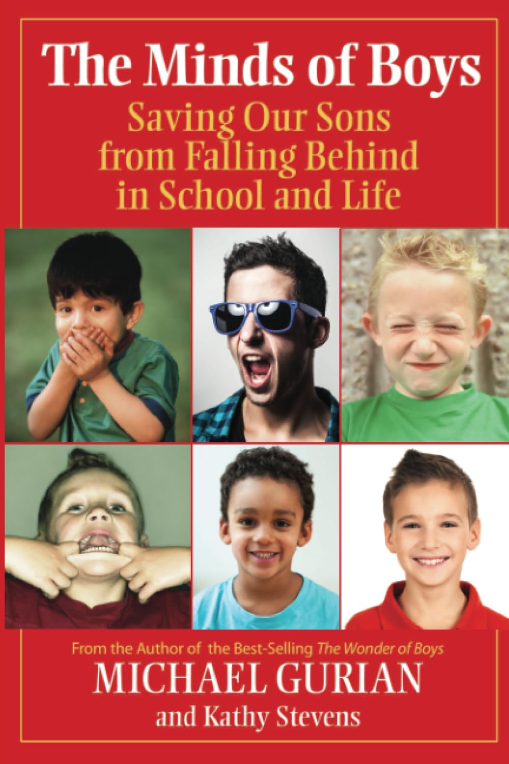 The Minds of Boys: Saving Our Sons From Falling Behind in School and Life