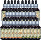 Tintura de Sang Ji Sheng (Taxillus Chinensis) - Extracto Líquido de Tallo Seco - 30 Botellas de 60 ml
