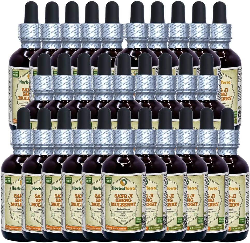 Tintura de Sang Ji Sheng (Taxillus Chinensis) - Extracto Líquido de Tallo Seco - 30 Botellas de 60 ml