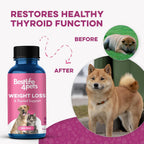 BestLife4Pets Weight & Thyroid Support – Suplemento Natural para el Control de Peso en Perros y Gatos – 400 Comprimidos