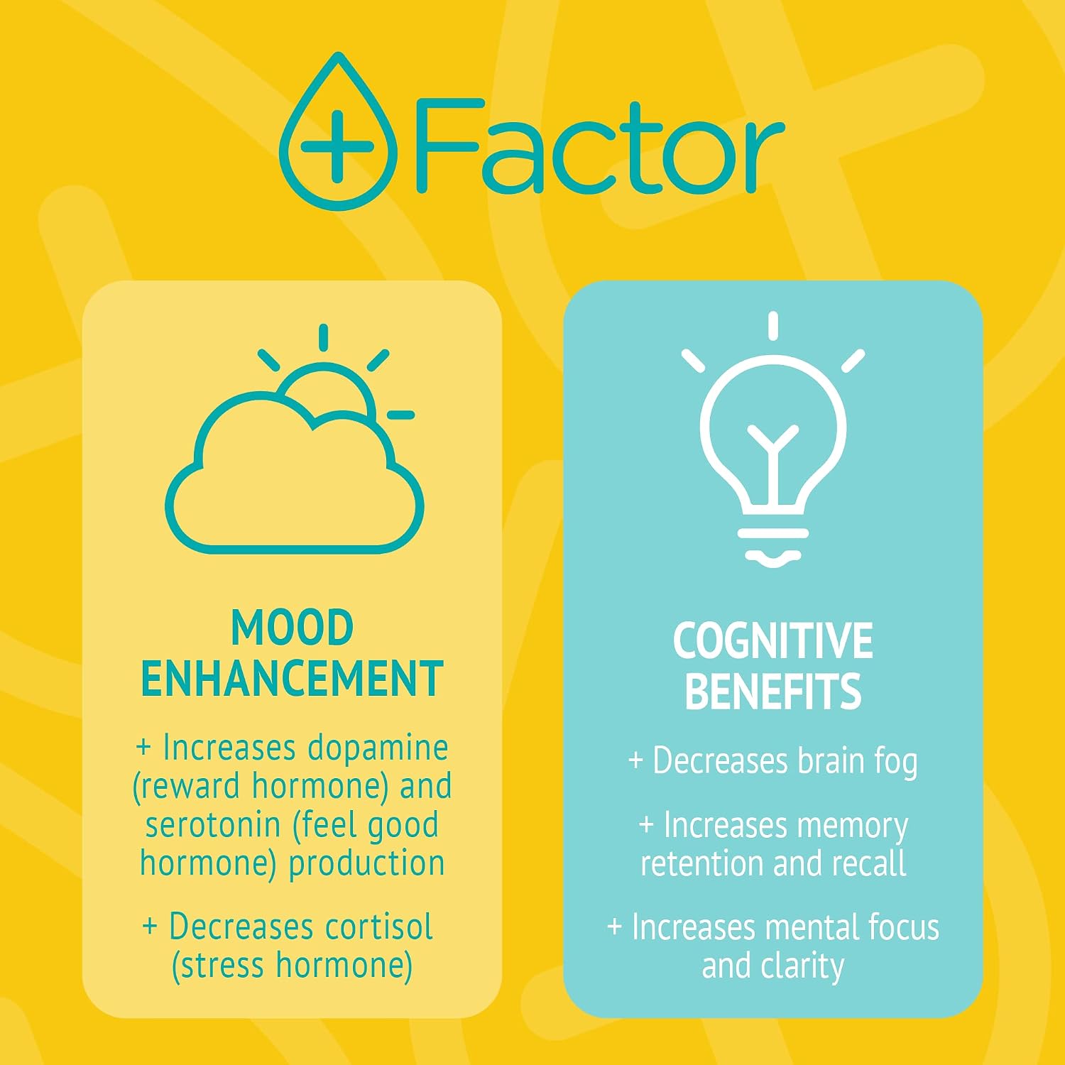 Plus Factor Cellular Boost Complex - 3% Methylene Blue & Silver Nano Particles - 50 ml