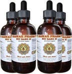 Tintura de Niu Bang Zi (Burdock) - Extracto Líquido - Hawaii Pharm 118 ml
