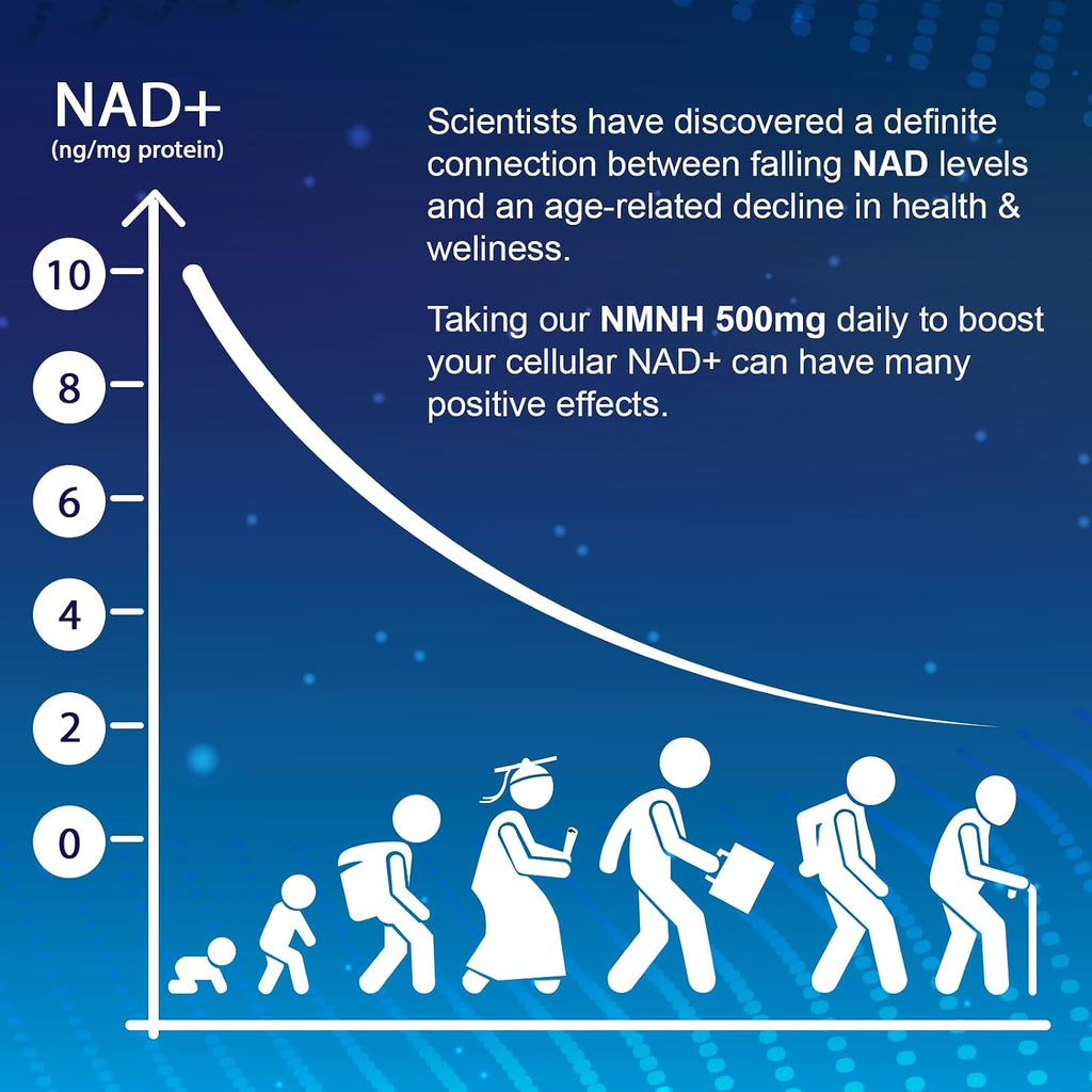 Ucessuyy NMNH (Dihidronicotinamida Mononucleótido) - Suplemento NAD+ - 60 Cápsulas