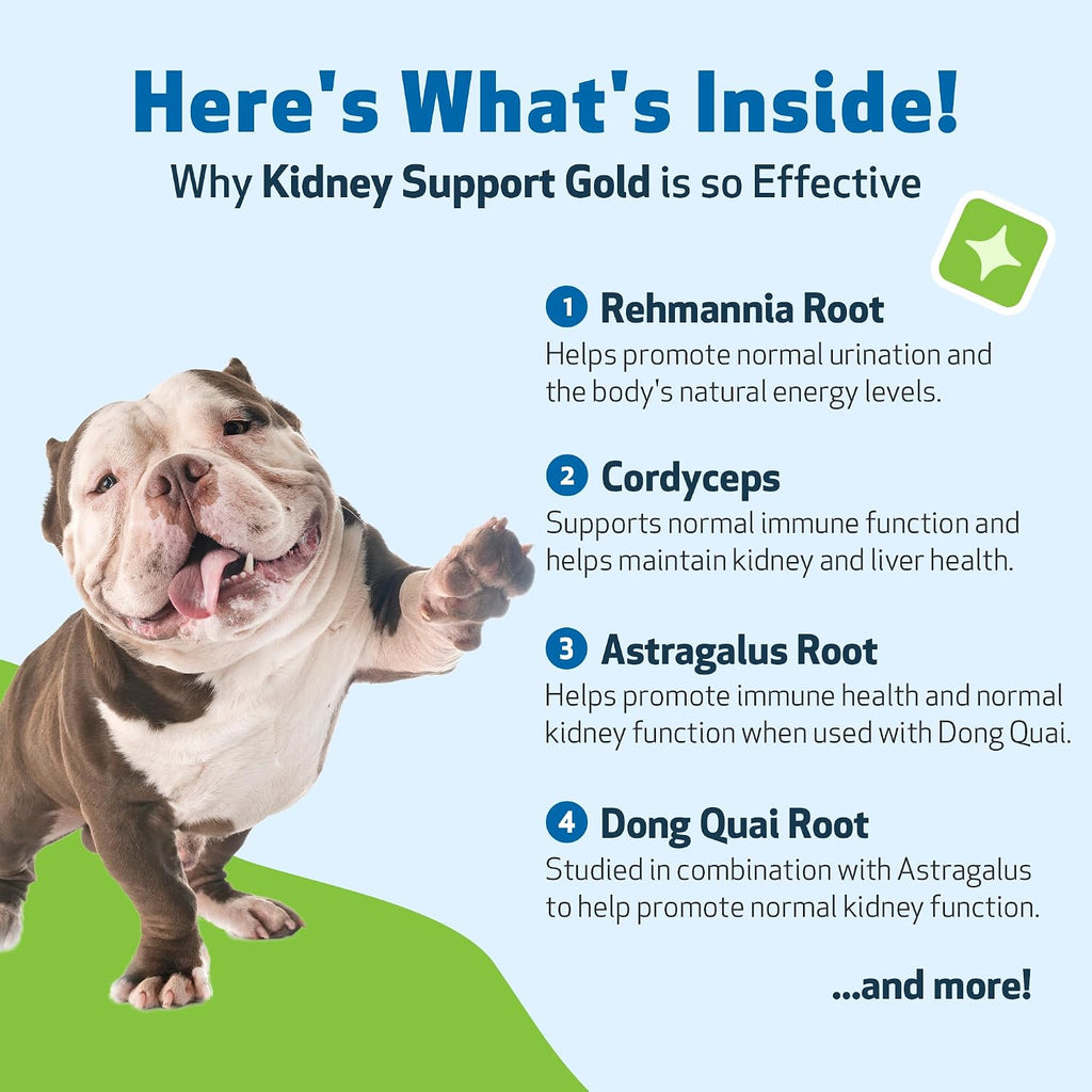 Pet Wellbeing Kidney Support Gold para perros - Favorece la función renal sana, el equilibrio de líquidos, los niveles de energía, Rehmannia, Dong Quai - Suplemento herbal formulado por veterinarios 4 oz (118 ml)