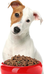 Pooch Nooch XL - Topper Gourmet para Perros con Levadura Nutricional y Hierbas - 213 g