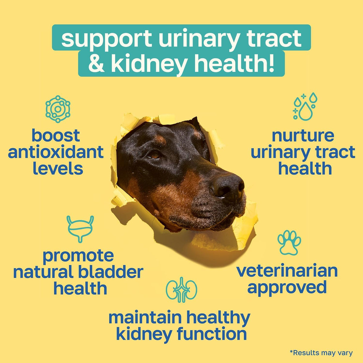Happy Paws Bladder Supplement - Suplemento – Baya Kona: Fuente de antioxidantes que ayudan a combatir el estrés – Image 2