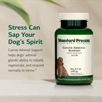 Standard Process Canine Adrenal Support - Suplemento Adrenal para Perros - 100 g