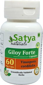 Giloy Forte 500 mg - 60 Cápsulas Veganas - Extracto de Guduchi (Tinospora Cordifolia) - Suplemento Ayurvédico