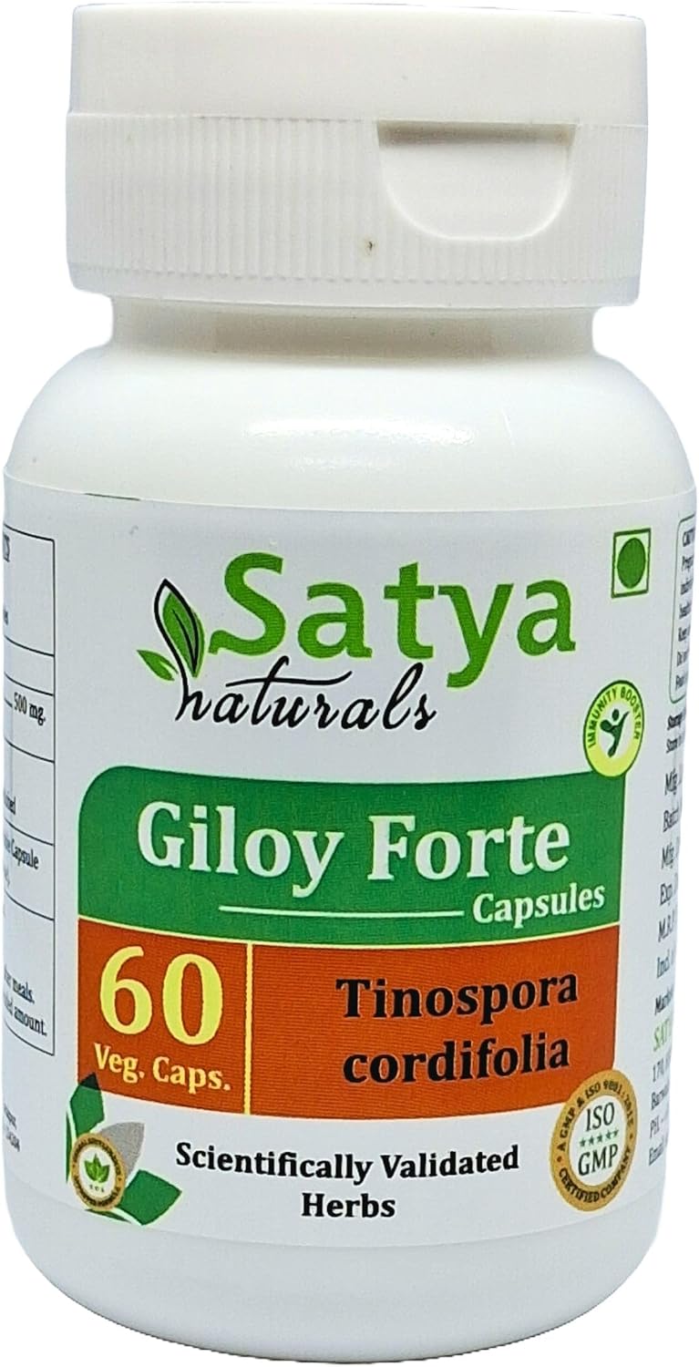 Giloy Forte 500 mg - 60 Cápsulas Veganas - Extracto de Guduchi (Tinospora Cordifolia) - Suplemento Ayurvédico