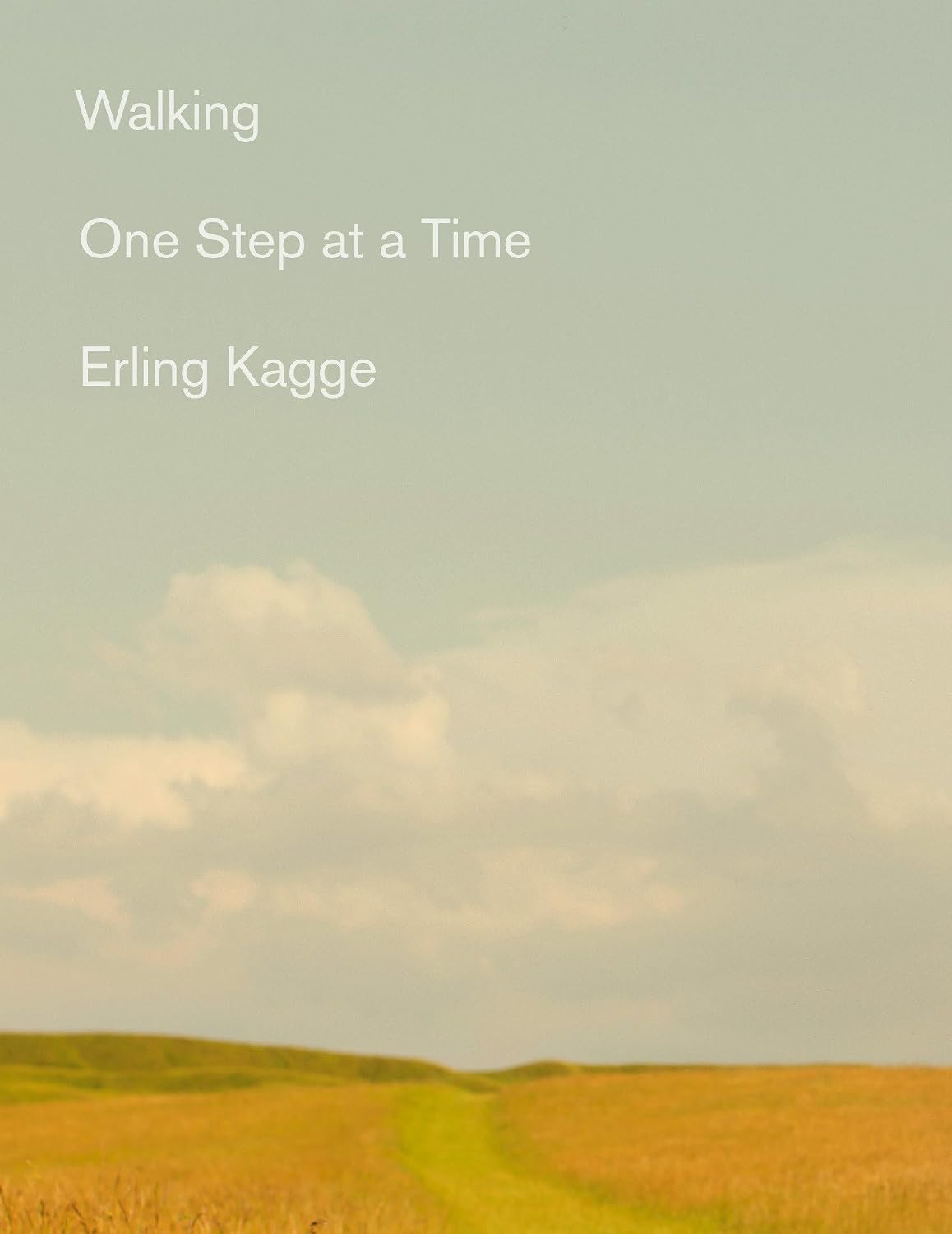 Walking: One step at a time