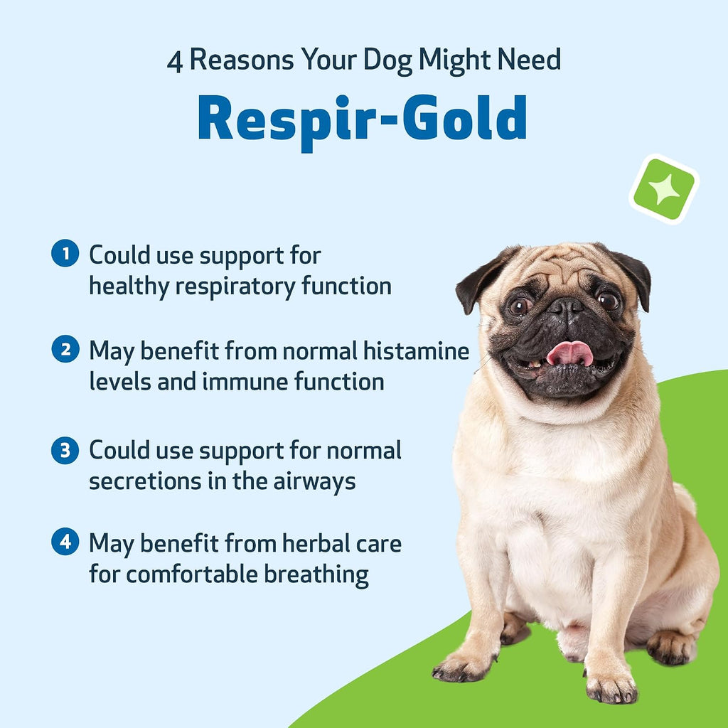 Pet Wellbeing Respir-Gold para Perros - Suplemento Líquido para Vías Respiratorias y Pulmones, con Comino Negro y Boswellia, Sabor Natural a Bacon, 59 ml