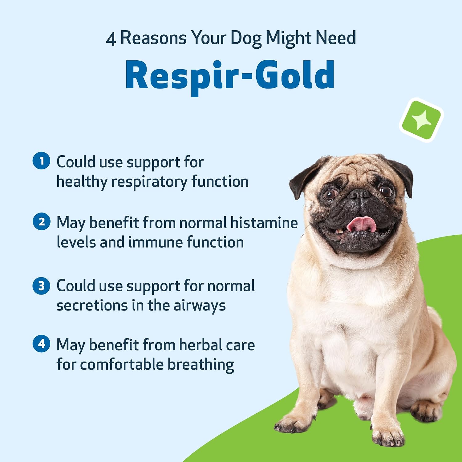 Pet Wellbeing Respir-Gold para Perros - Suplemento Líquido para Vías Respiratorias y Pulmones, con Comino Negro y Boswellia, Sabor Natural a Bacon, 59 ml