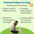 Pet Wellbeing Ultimate Probiotic 9 Cepas para Perros y Gatos - Apoyo Natural para la Digestión y Salud Urinaria 160 g