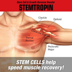 MuscleMeds STEMTROPIN - Potenciador de Células Madre y Factor de Crecimiento, 60 Cápsulas Veganas