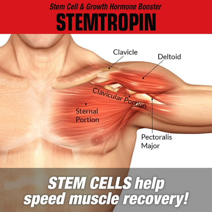 MuscleMeds STEMTROPIN - Potenciador de – Apoyar el rendimiento general: Un mejor estado de recuperación y – Image 4