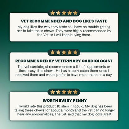 VetriScience Extra Strength Healthy Heart Chews - Suplemento Cardíaco para Perros con Taurina, Carnitina, CoQ10 y Espino, – Image 7