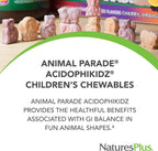 NaturesPlus Animal Parade AcidophiKidz - Probióticos para Niños, Sabor a Bayas - 180 Comprimidos Masticables en Forma de Animalitos (Pack de 2)