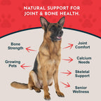 Animal Essentials Sea-Cal - Polvo de Calcio de Algas Marinas Puras para Perros y Gatos - 340 g