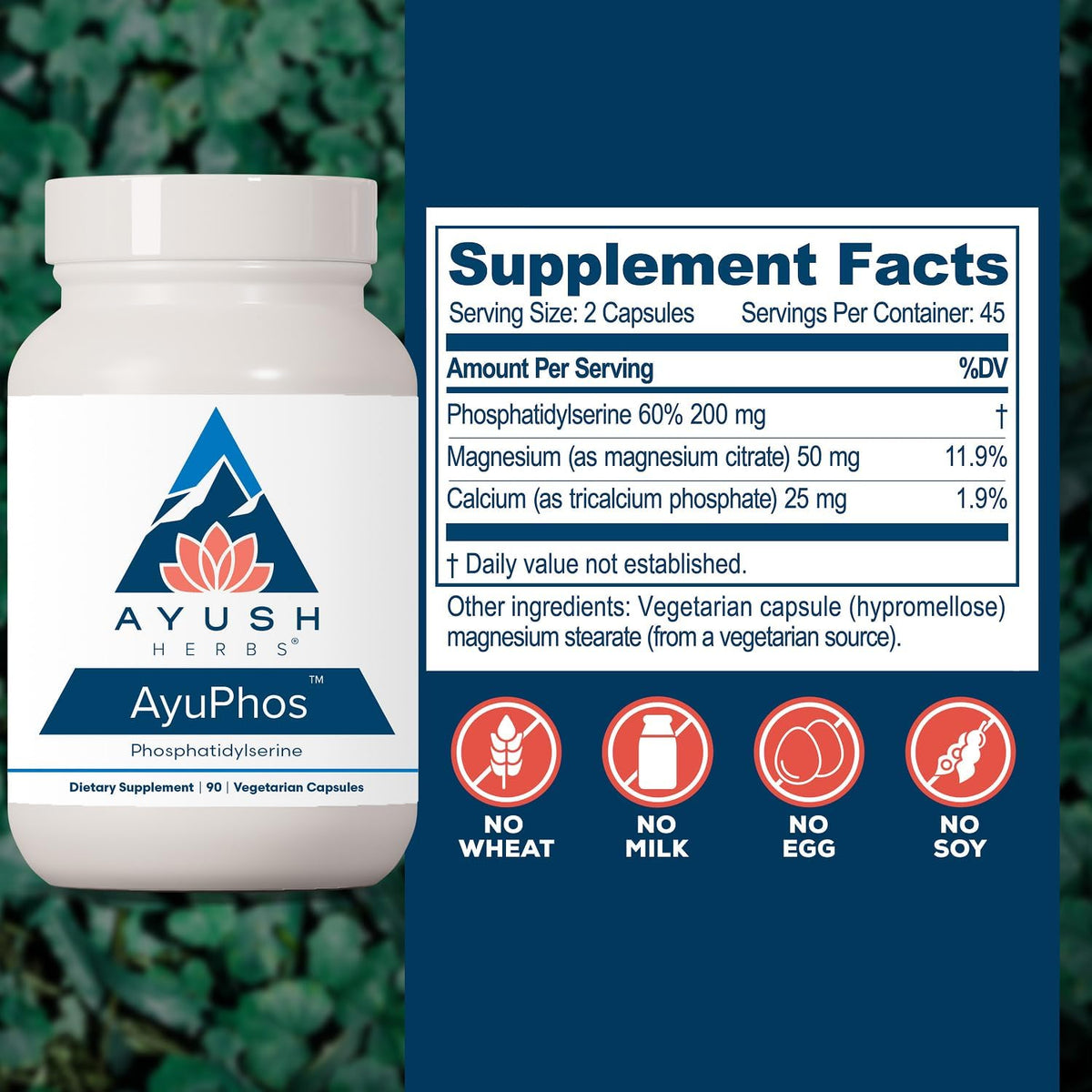 Ayush Herbs AyuPhos, Fosfatidilserina 200mg, Apoyo Cerebral y Memoria, 45 Cápsulas – Image 3